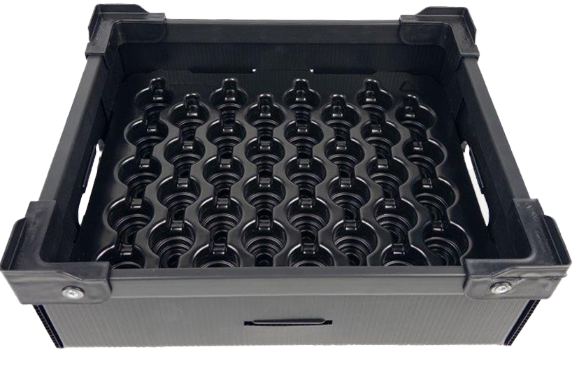 Custom Tote & Insert